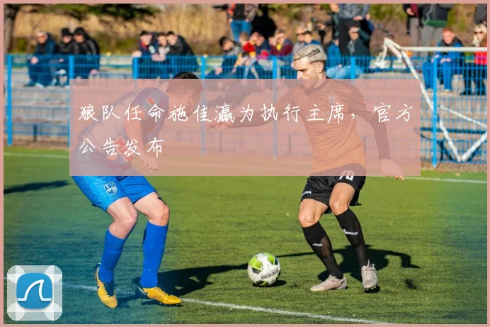 狼队任命施佳瀛为执行主席,官方公告发布